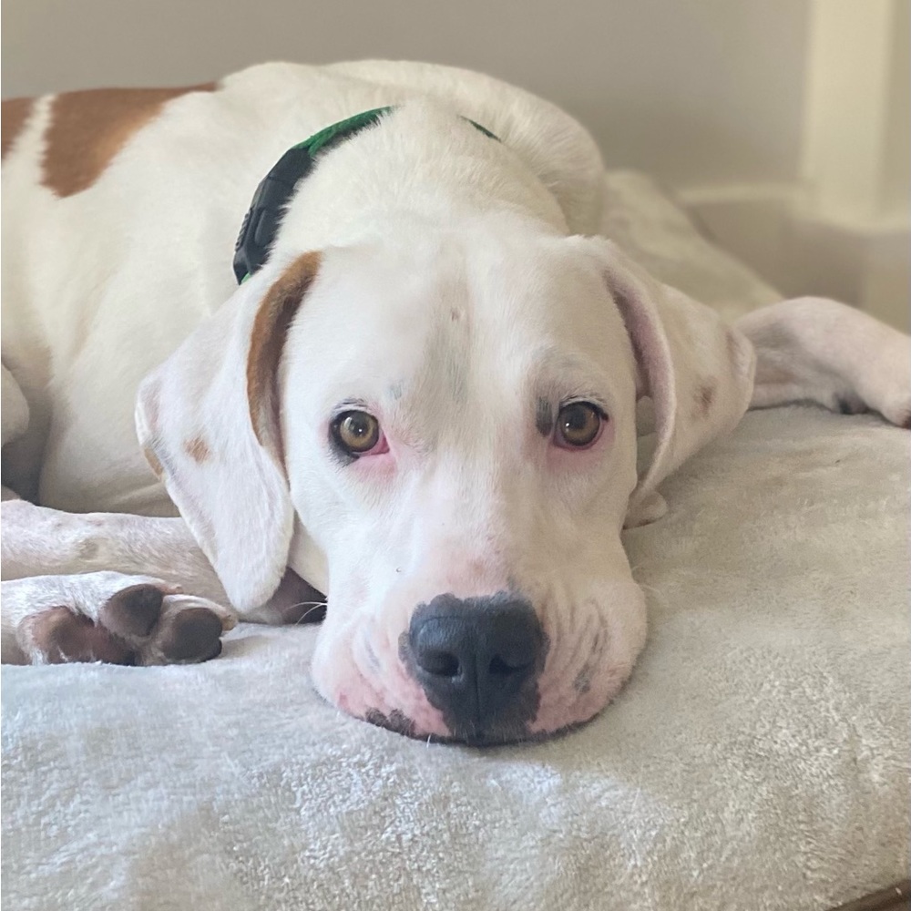 Meet your Posher, Kate